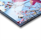 The Quiet Language of Petals Acrylic print