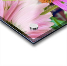 Floral Landing Acrylic print