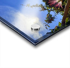 IMG 0024 Acrylic print