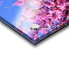 IMG 1620 Acrylic print