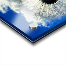 IMG 1740 Acrylic print