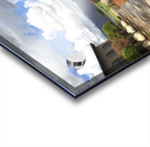 Out of Africa 1 Acrylic print