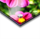 Flower Bloom 7 Acrylic print