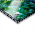 Silent Green Wind Chimes 2 Acrylic print