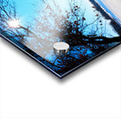 Winterscape 2B Acrylic print