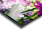 Tulips Are Better Than One 2 Acrylic print