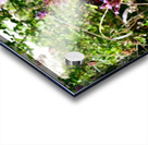 Monarch Butterfly Acrylic print