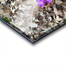 Petals of Renewal Acrylic print