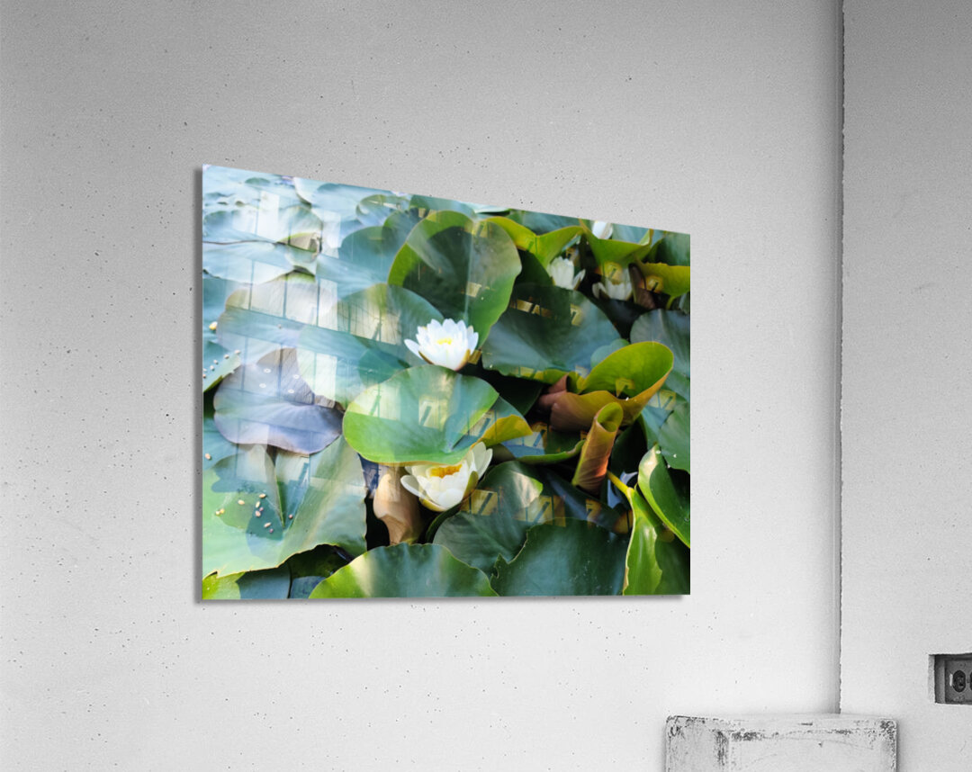 The Secret Life of Lilies Acrylic Print