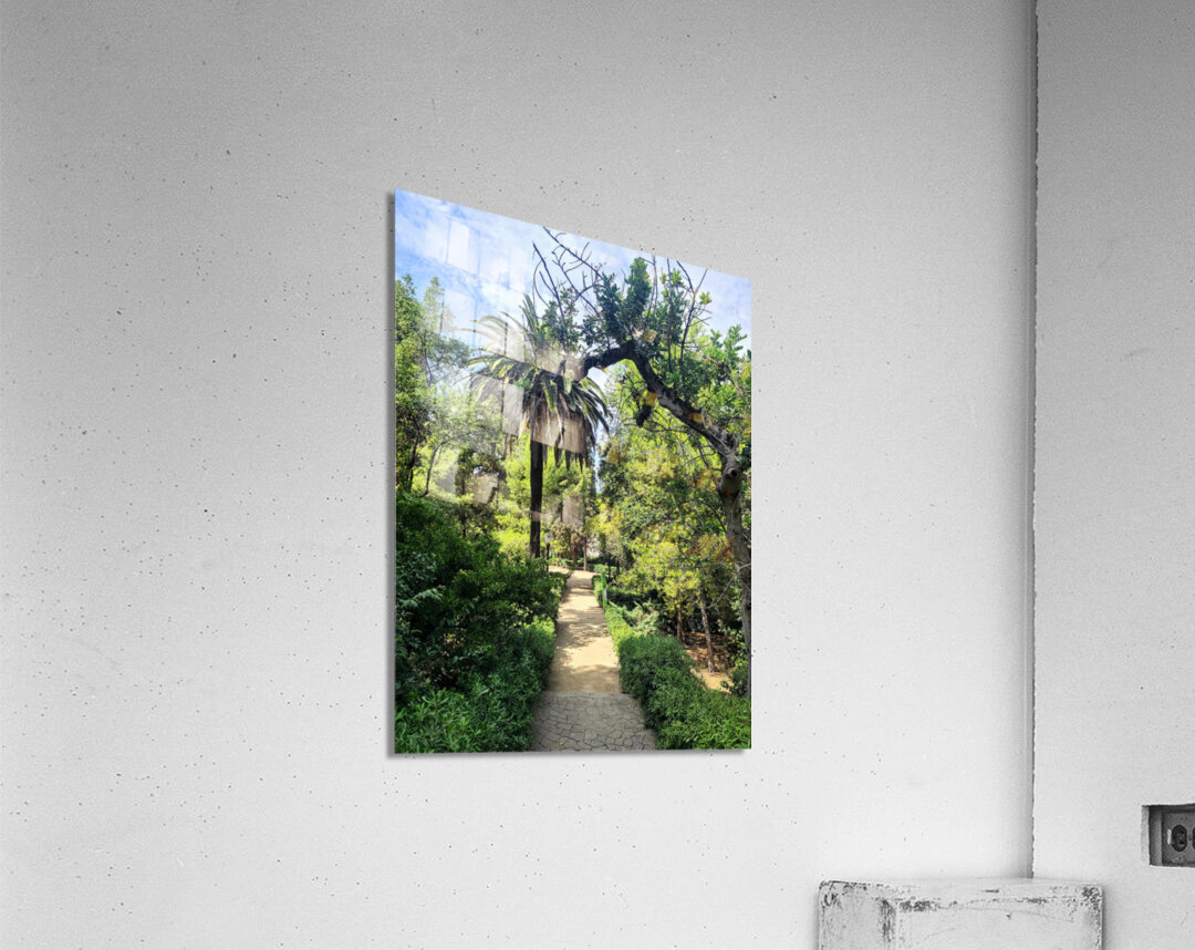 Path to the Palms Acrylic Print