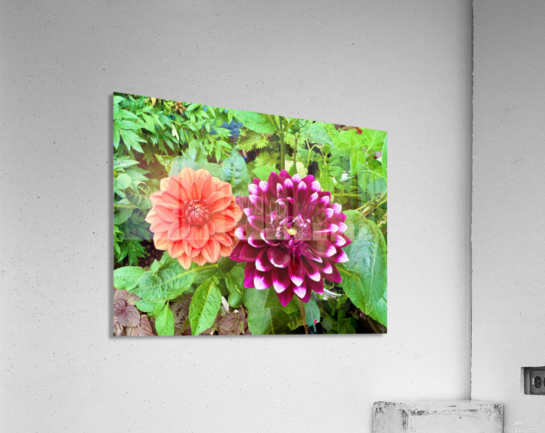 Nature’s Take on Balance and Beauty Acrylic Print