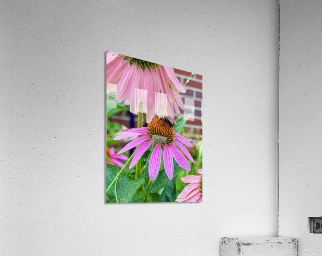 Floral Landing Acrylic Print