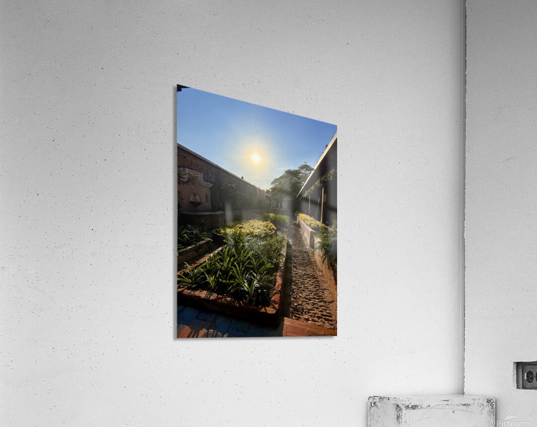 IMG 9939 Acrylic Print