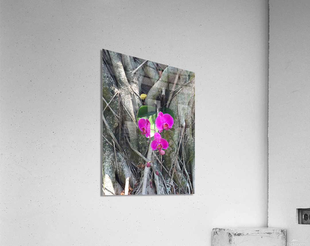 Natural Orchid 1B Acrylic Print