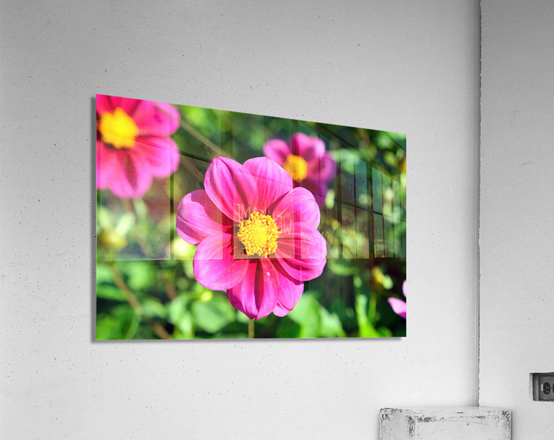 Flower Bloom 7 Acrylic Print