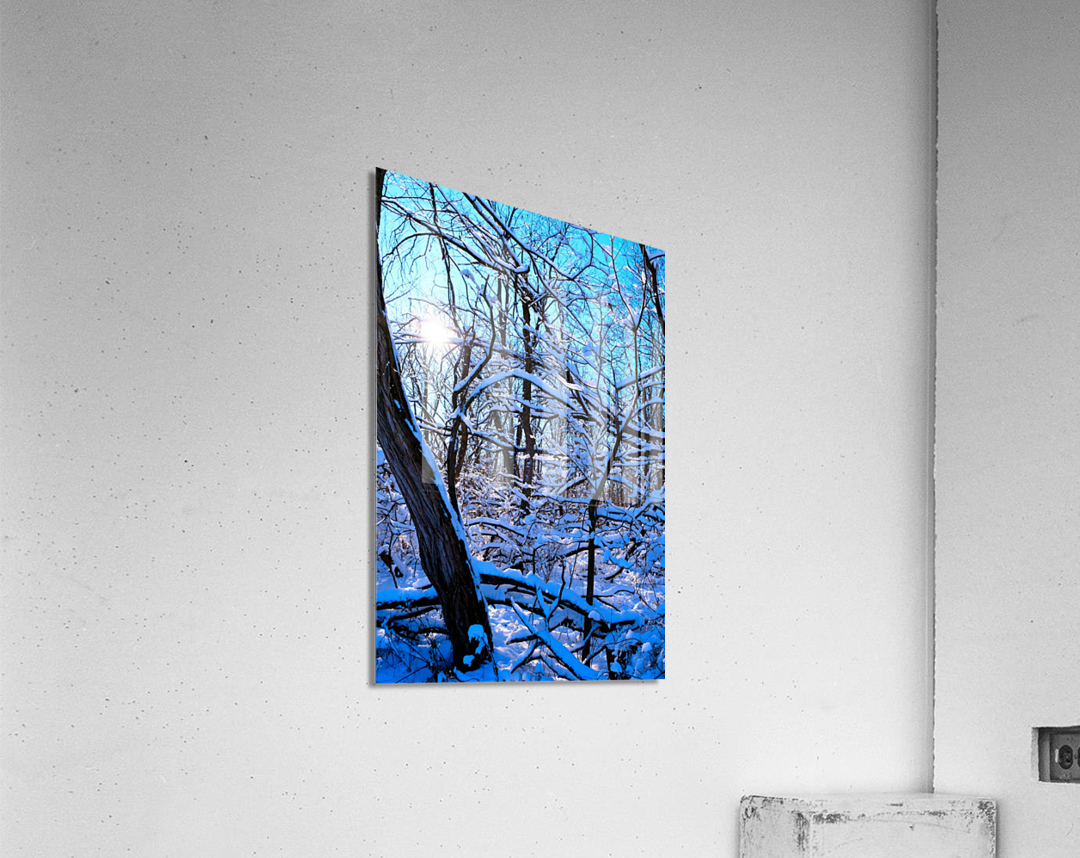 Frozen Limbs 3 Acrylic Print