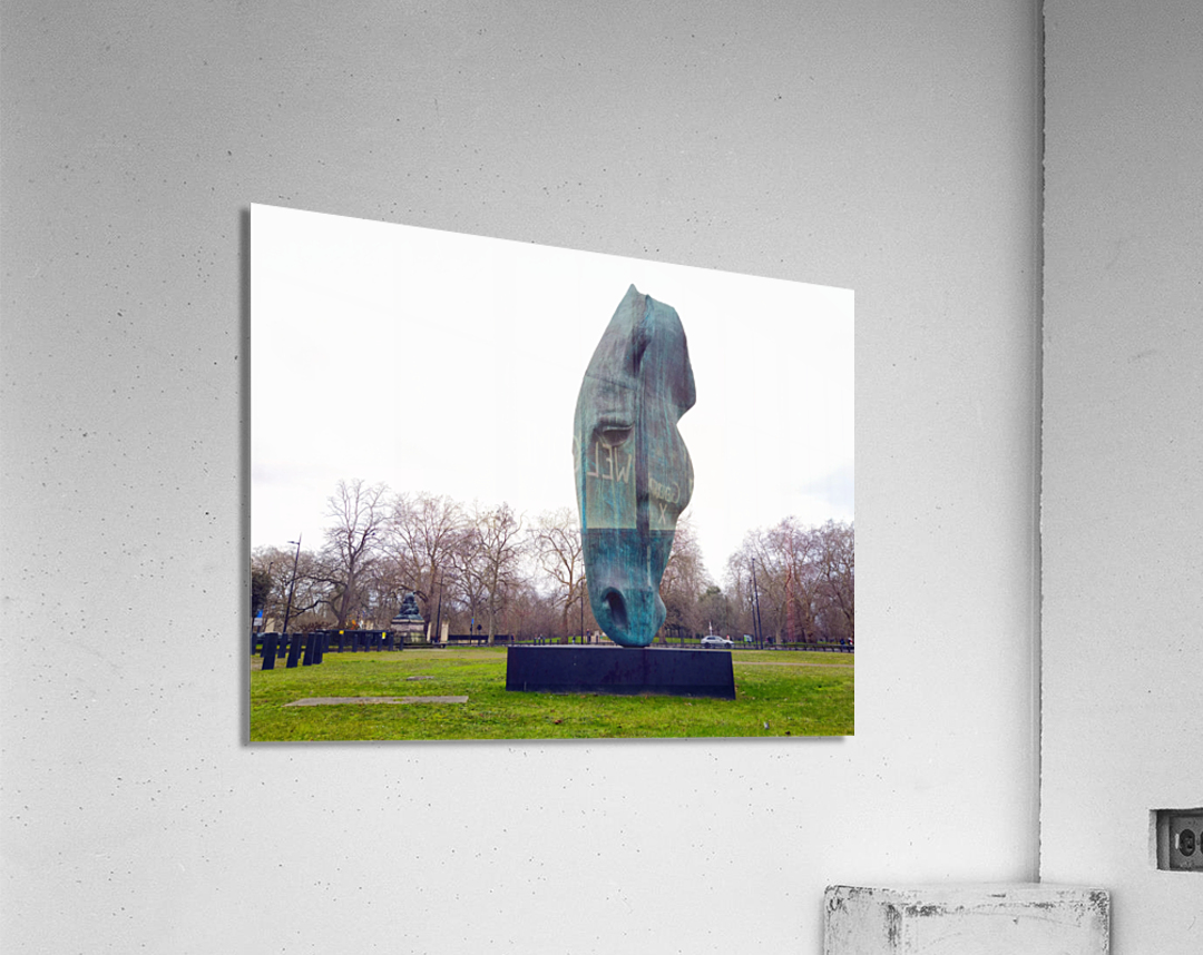 Horsehead Sculpture Acrylic Print