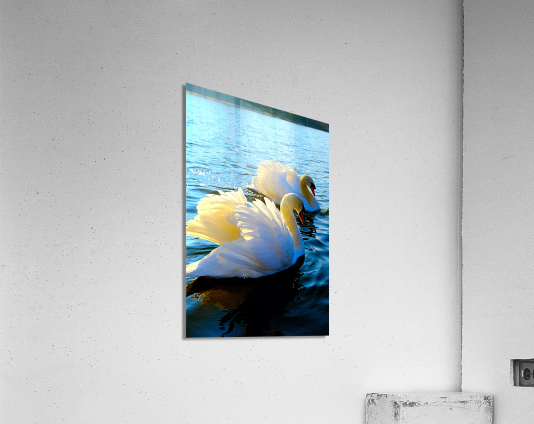 Wings of Love Pair 3 Acrylic Print