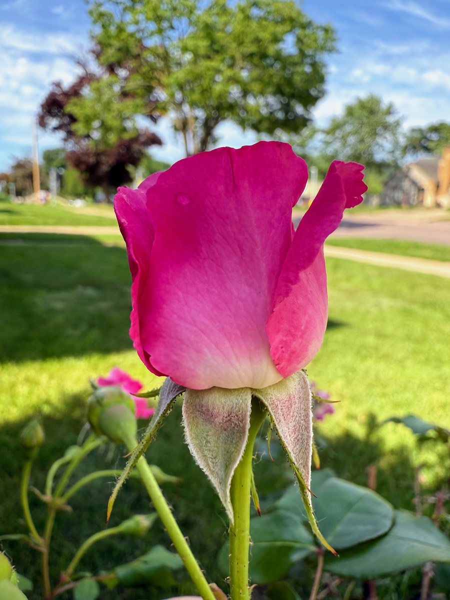 Impression de cadre personnalisé