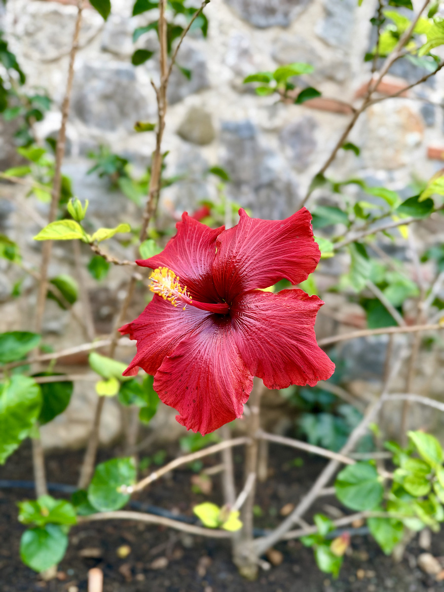 Impression de cadre personnalisé