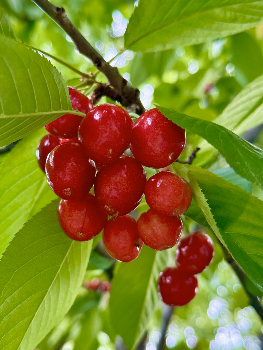 Impression de cadre personnalisé