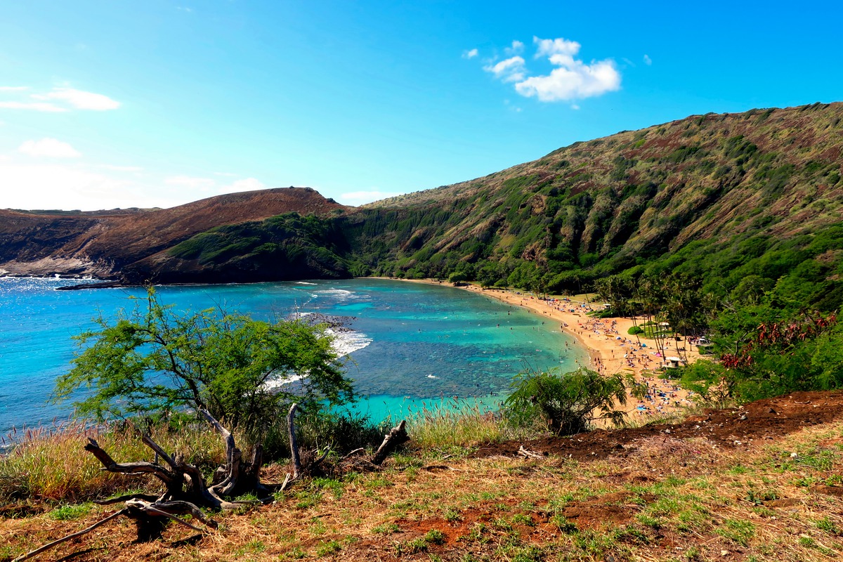 Impression de cadre personnalisé