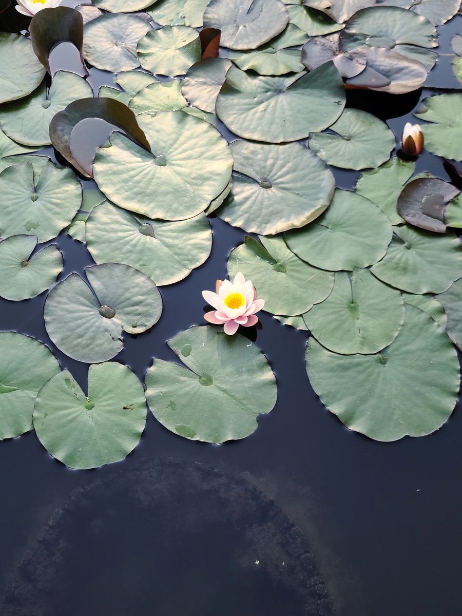 Impression de cadre personnalisé