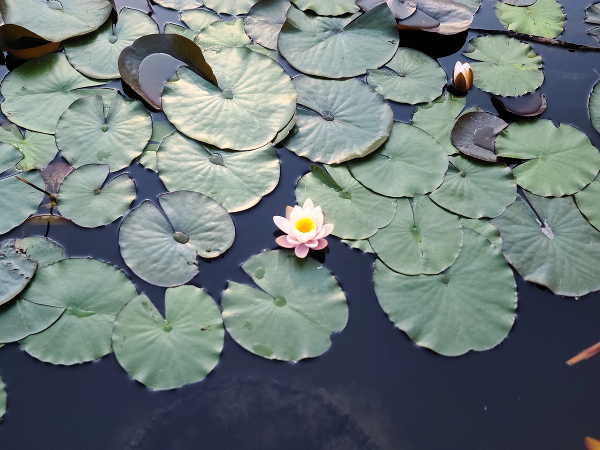 Impression de cadre personnalisé