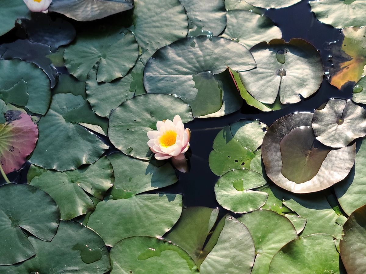 Impression de cadre personnalisé