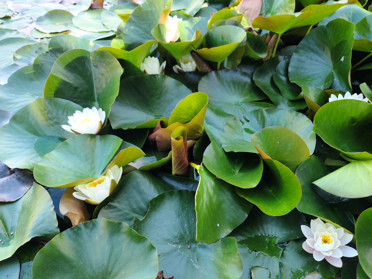 Impression de cadre personnalisé