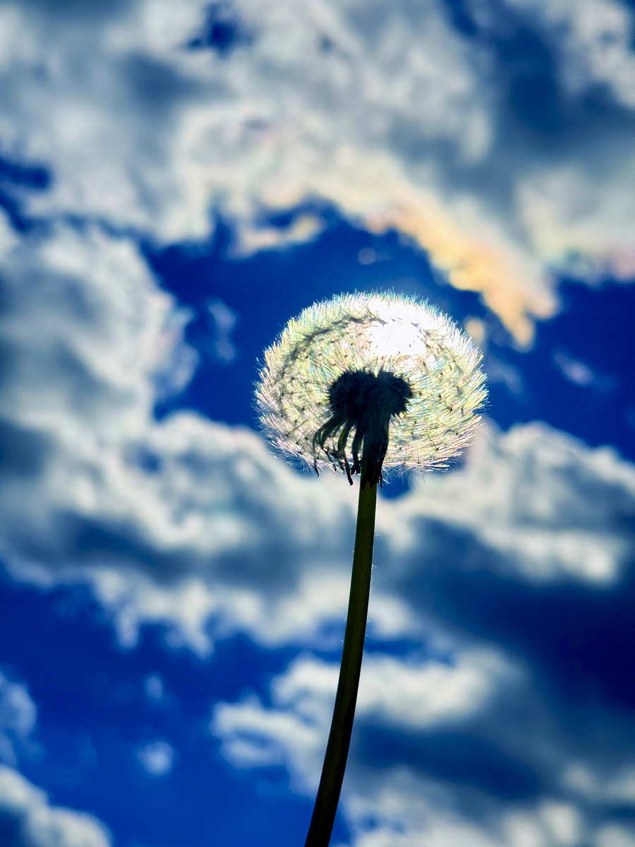 Impression de cadre personnalisé