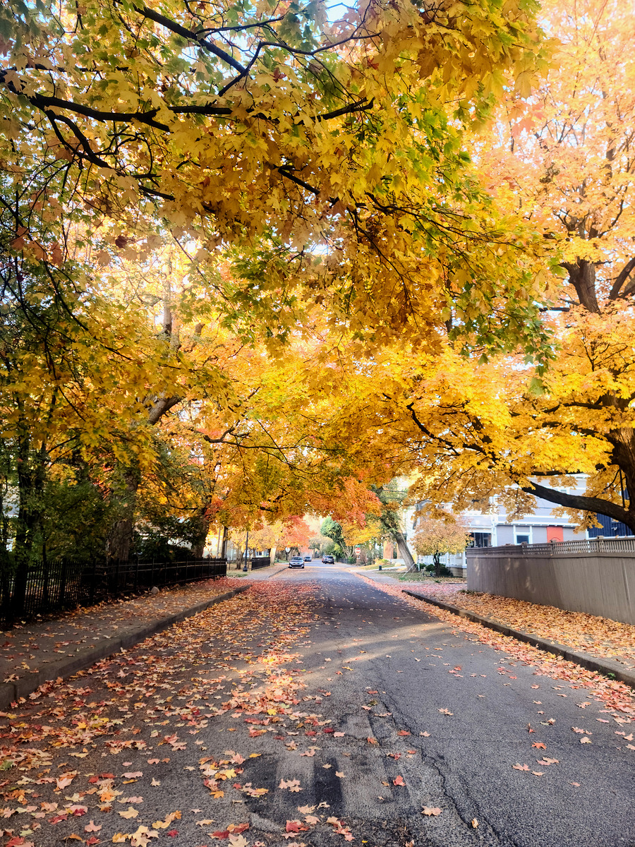 Impression de cadre personnalisé