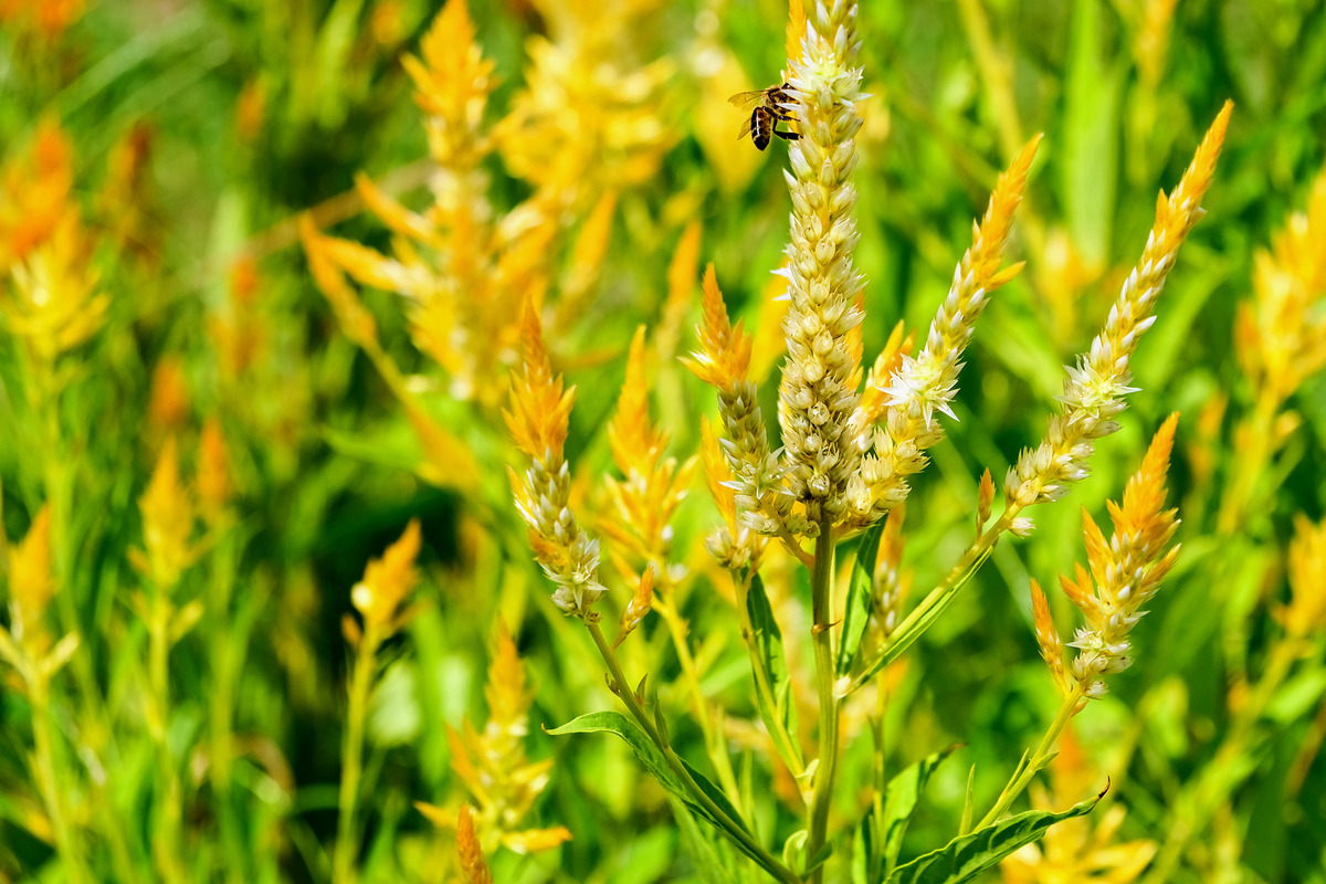 Impression de cadre personnalisé