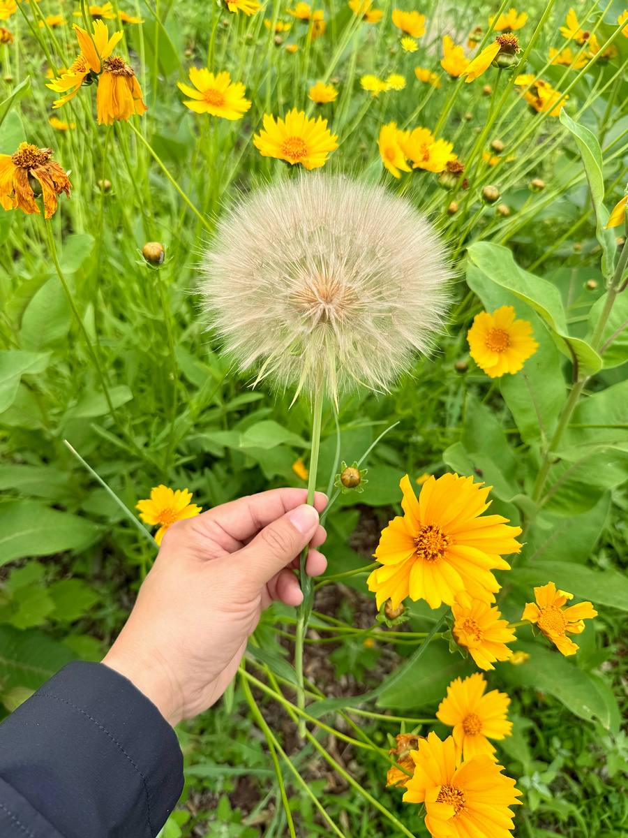 Impression de cadre personnalisé