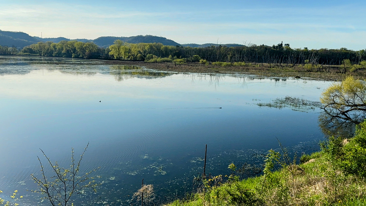 Impression de cadre personnalisé