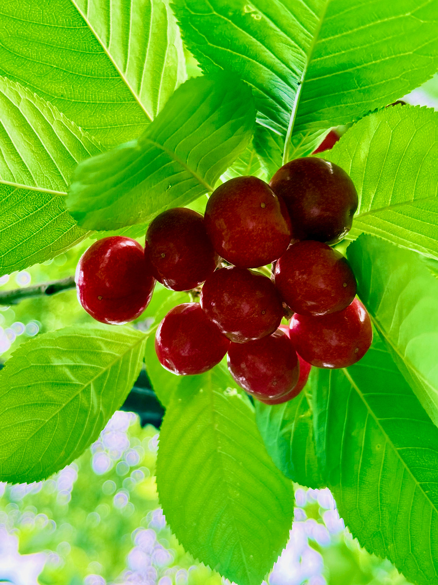 Impression de cadre personnalisé