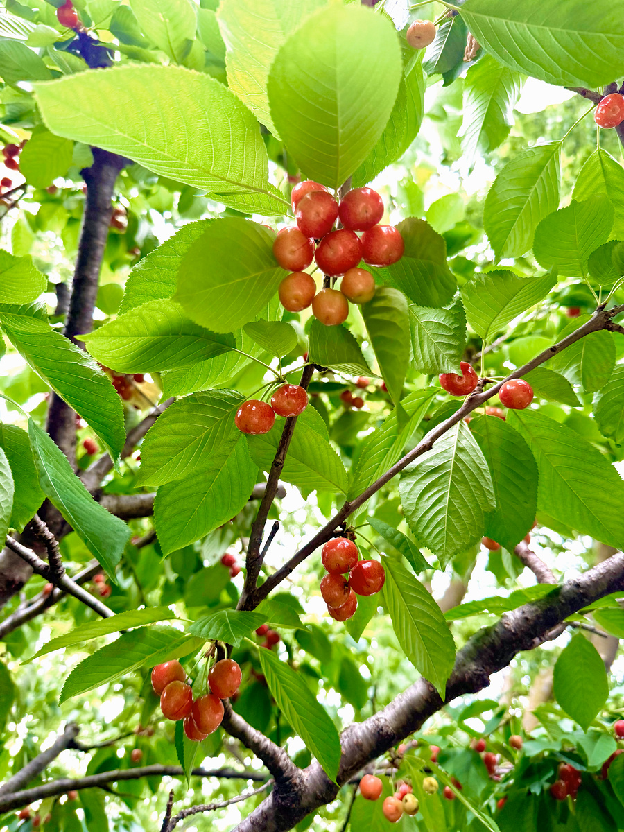 Impression de cadre personnalisé