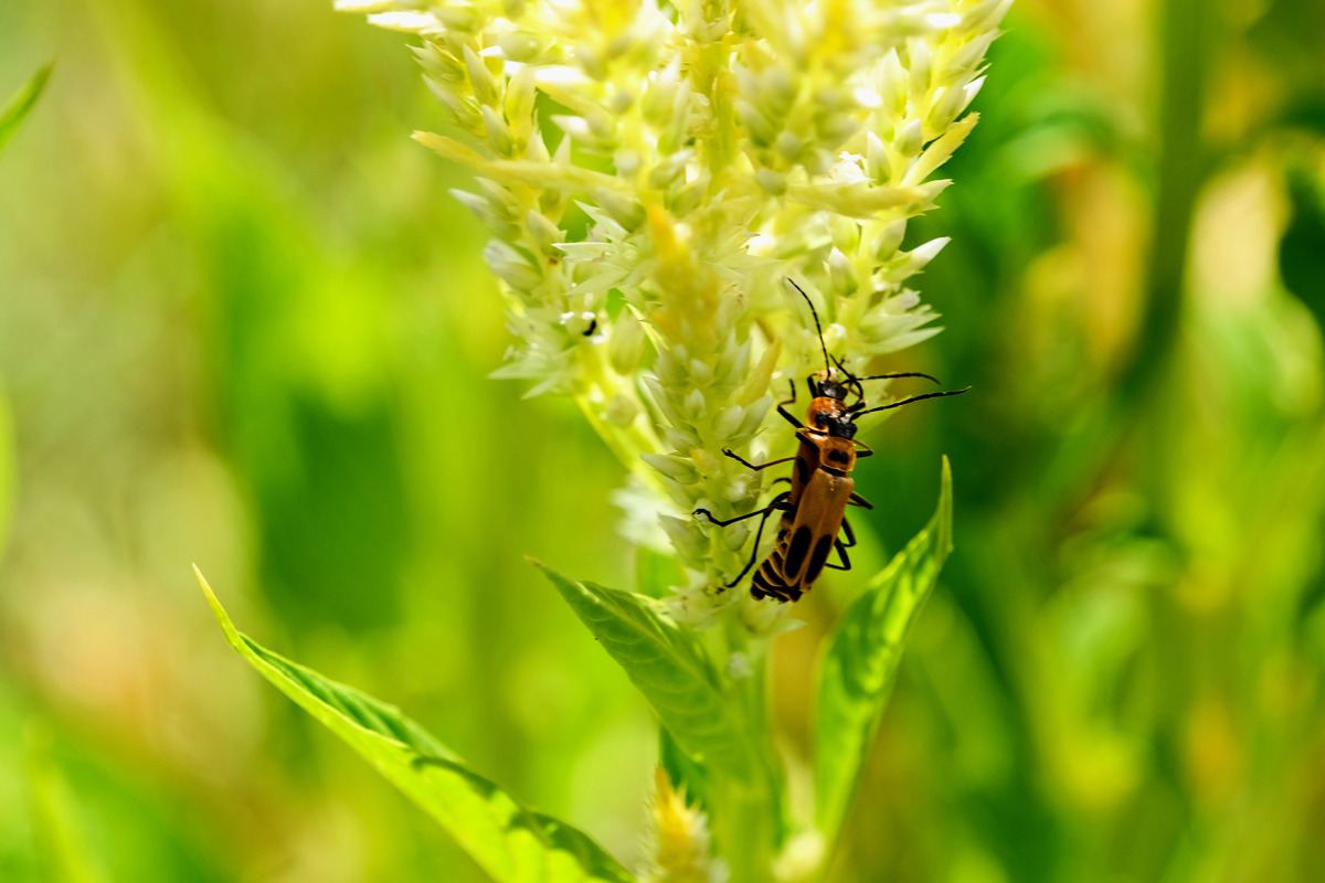 Impression de cadre personnalisé