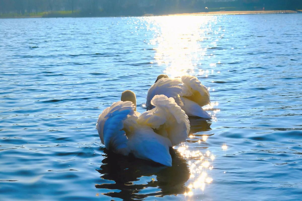 Impression de cadre personnalisé