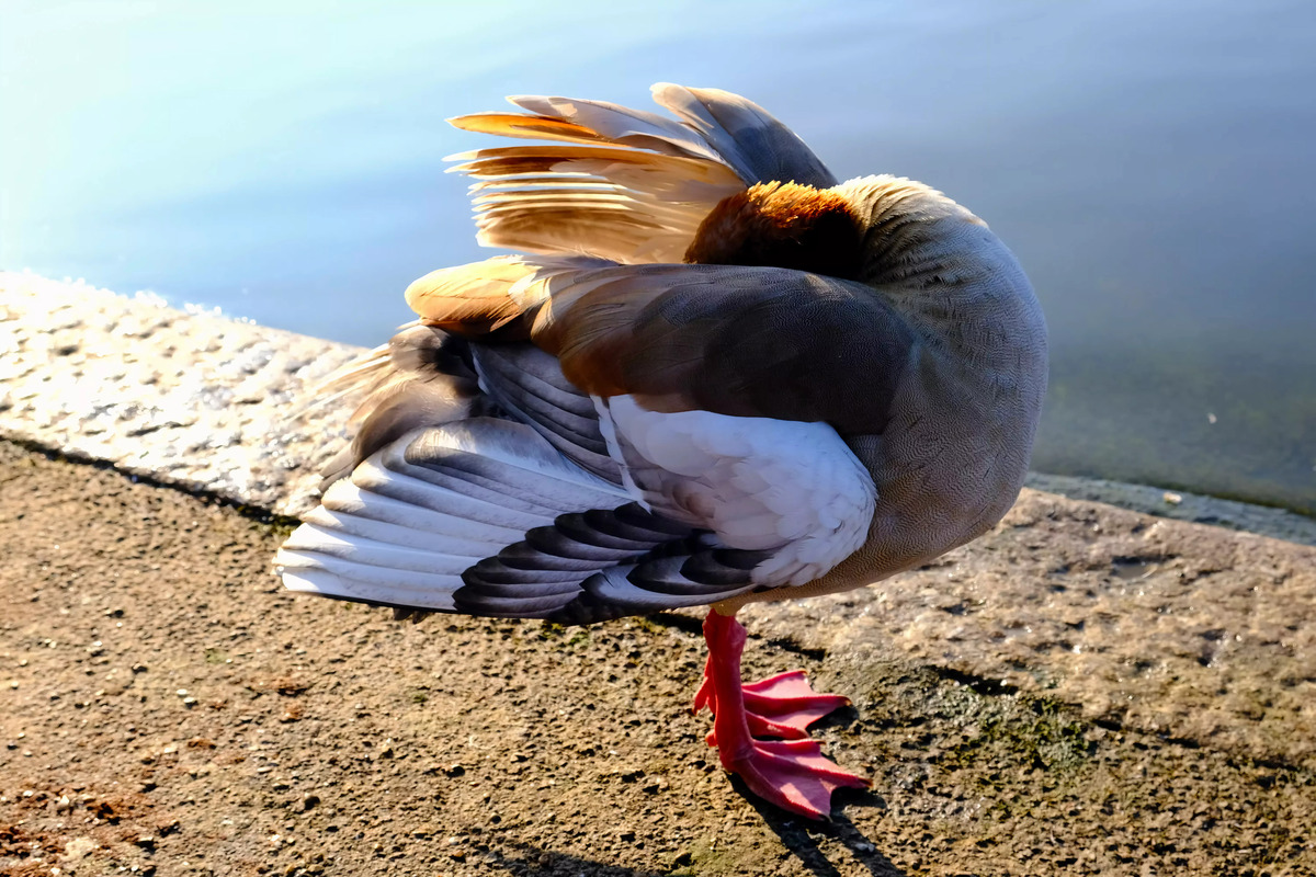 Impression de cadre personnalisé