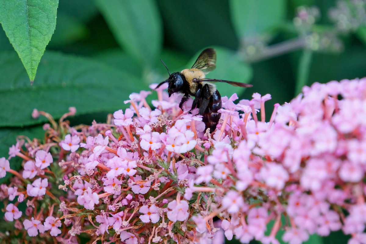 Impression de cadre personnalisé