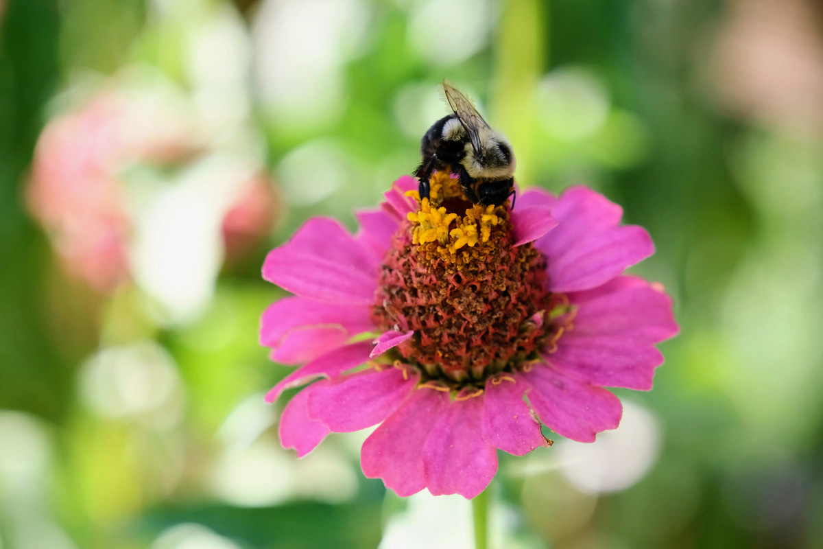 Impression de cadre personnalisé