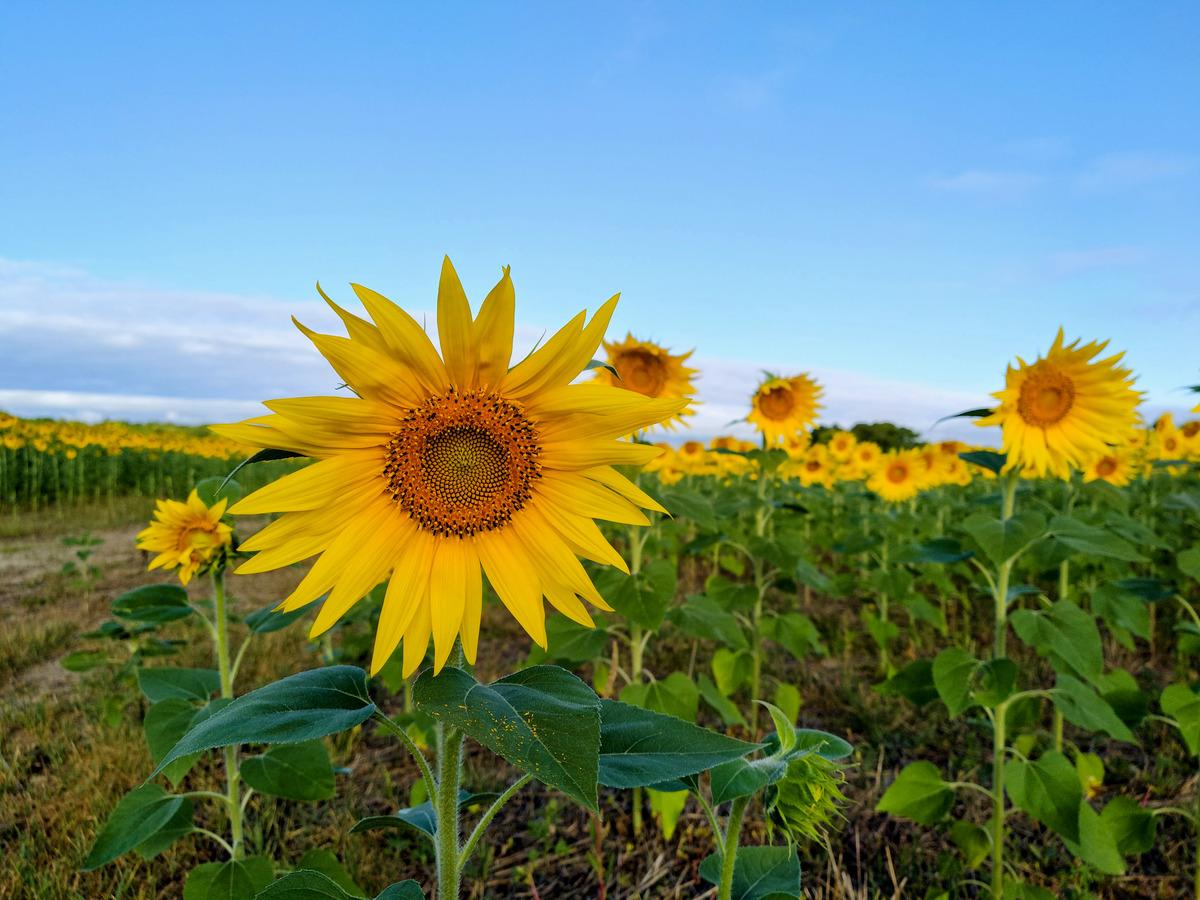 Impression de cadre personnalisé