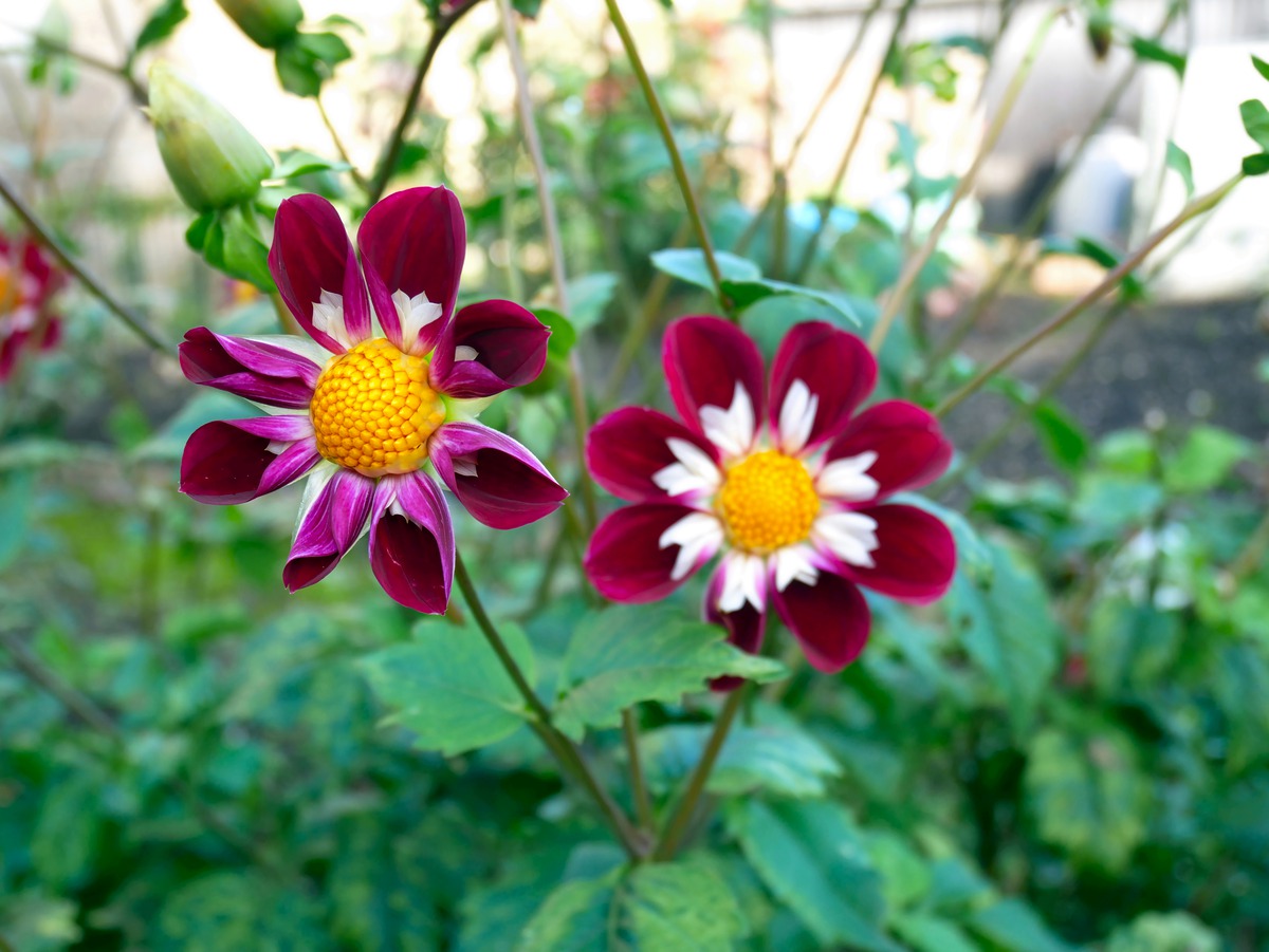 Impression de cadre personnalisé