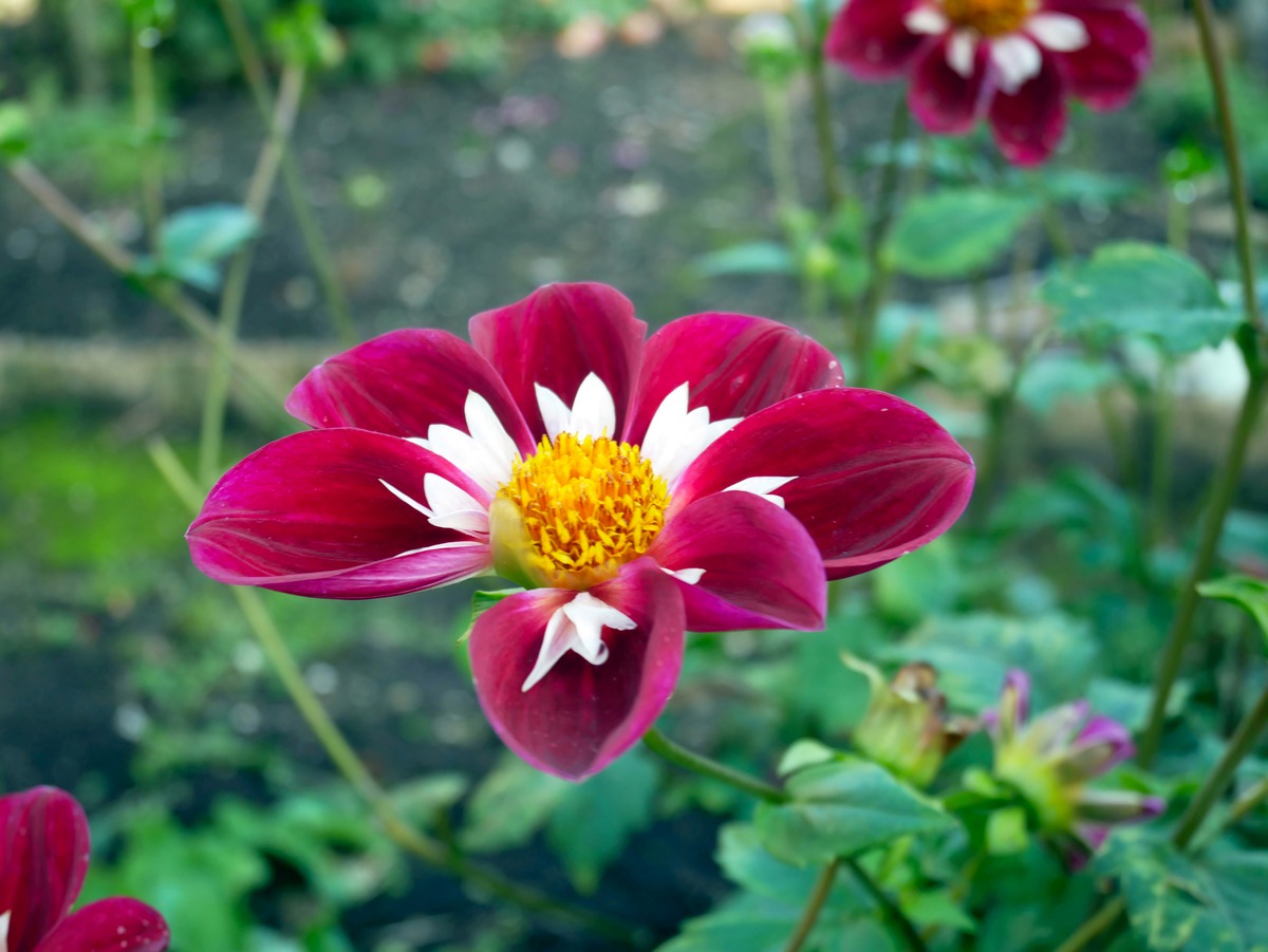 Impression de cadre personnalisé