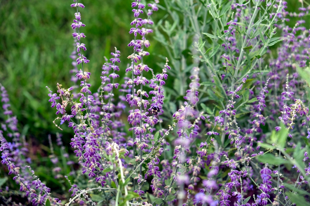 Impression de cadre personnalisé