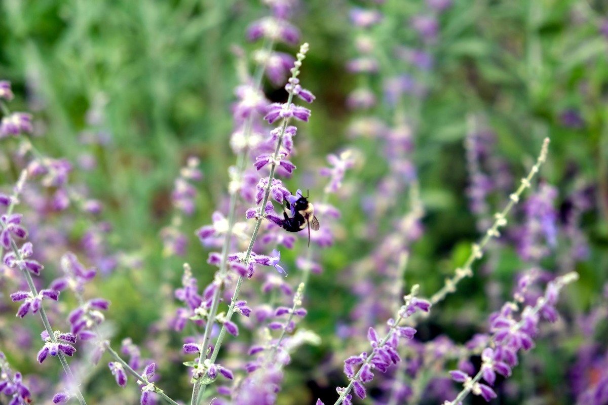 Impression de cadre personnalisé