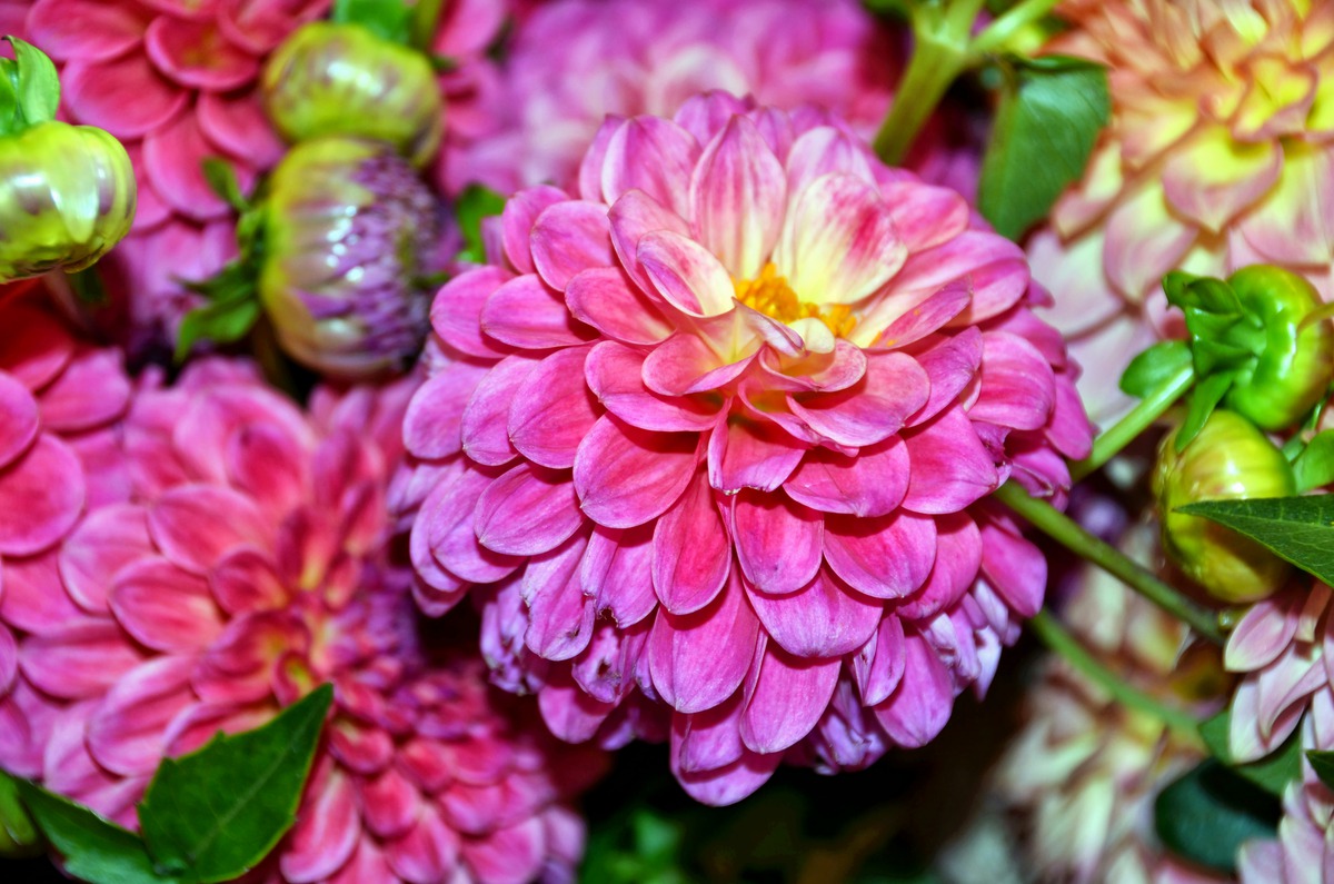 Impression de cadre personnalisé