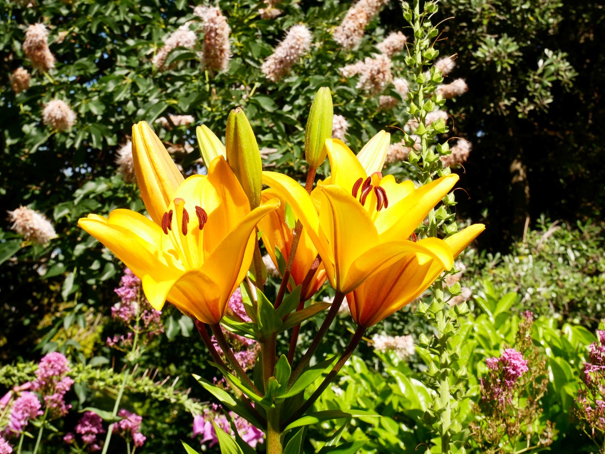 Impression de cadre personnalisé