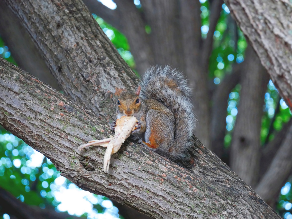 Impression de cadre personnalisé